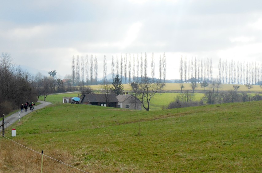 img00019.jpg