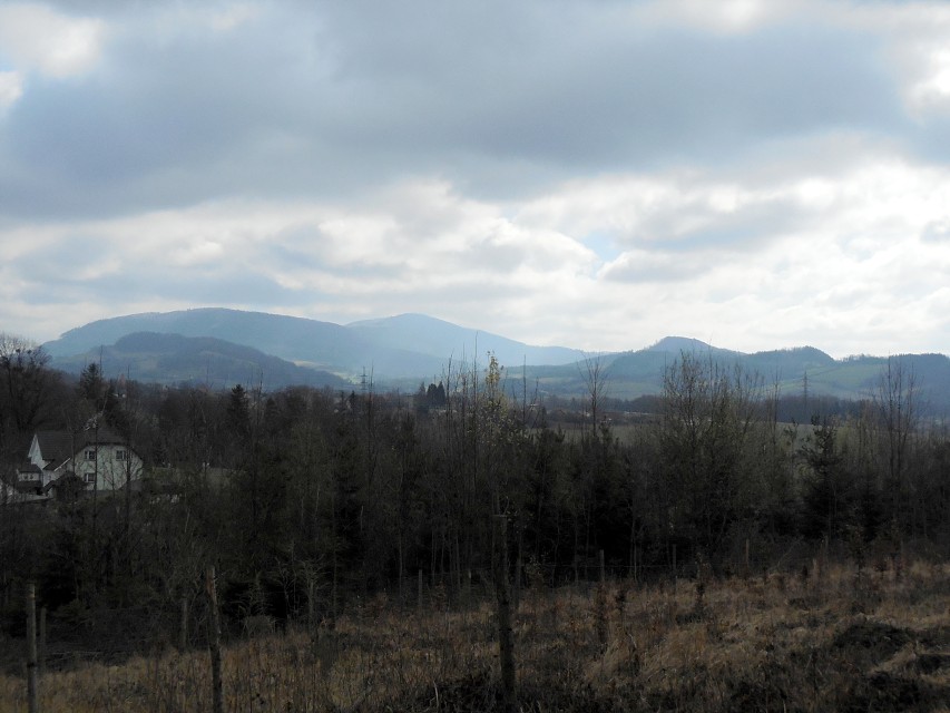 img00024.jpg