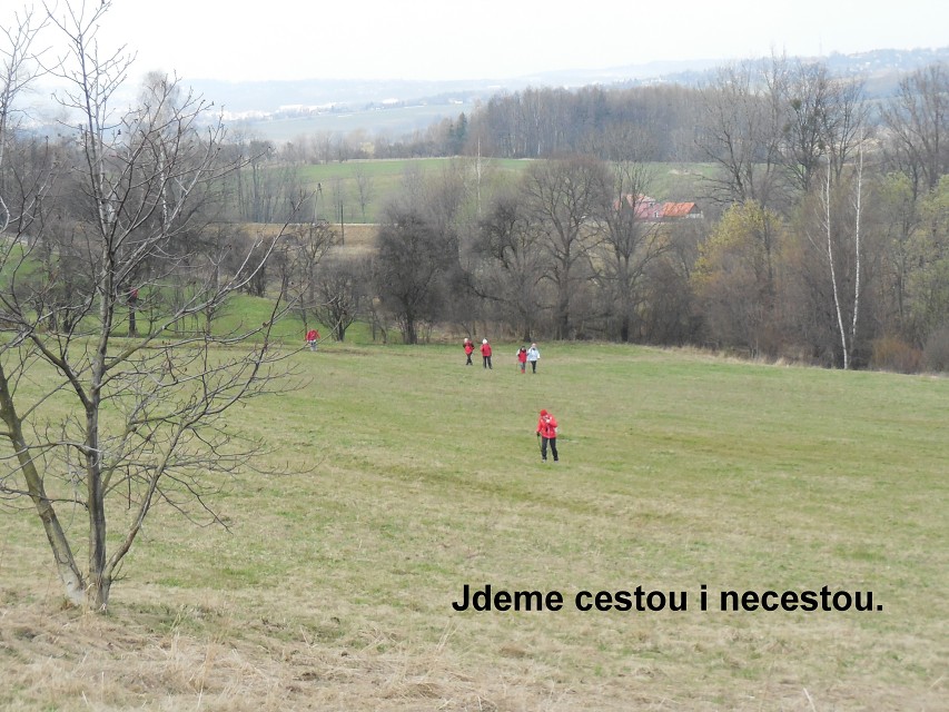 img00025.jpg