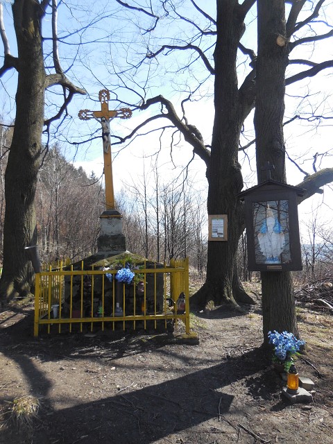 img00038.jpg