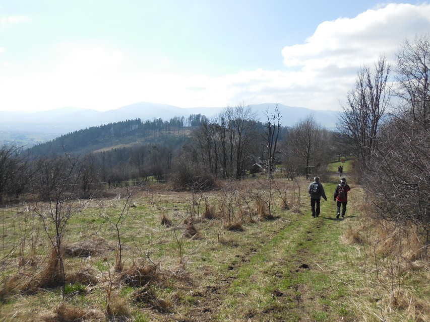 img00042.jpg