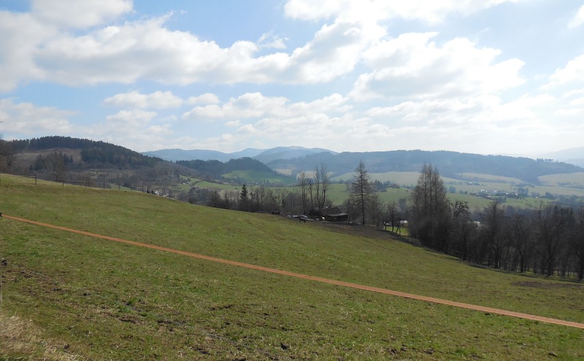 img00043.jpg