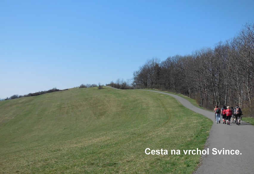 img00011.jpg