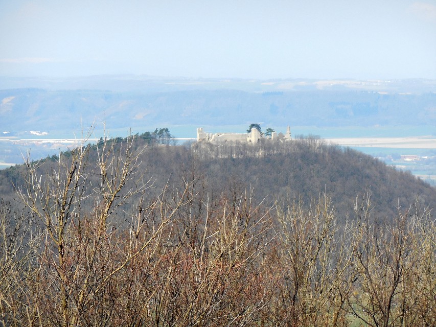 img00017.jpg