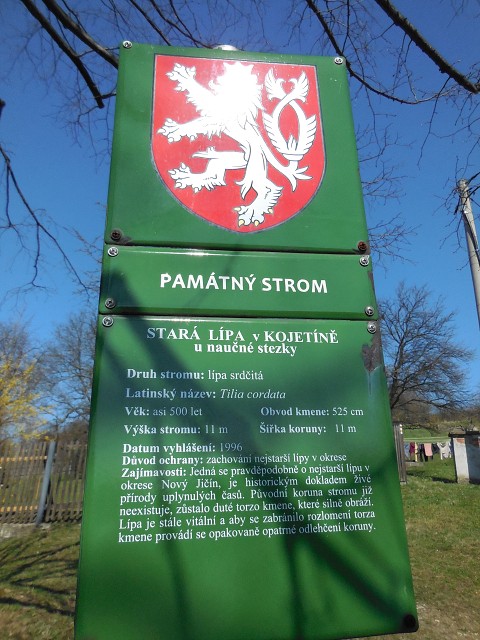 img00023.jpg