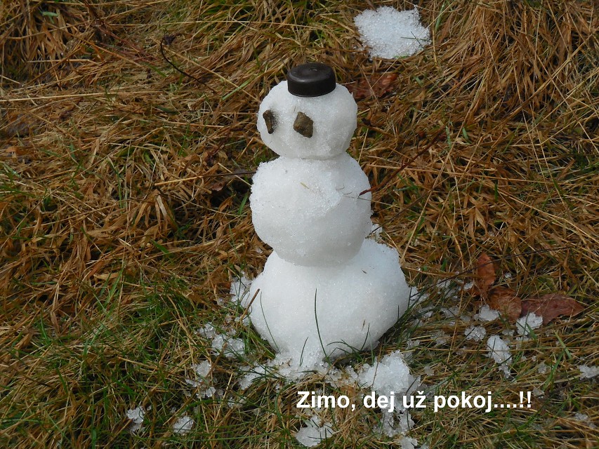 img00012.jpg