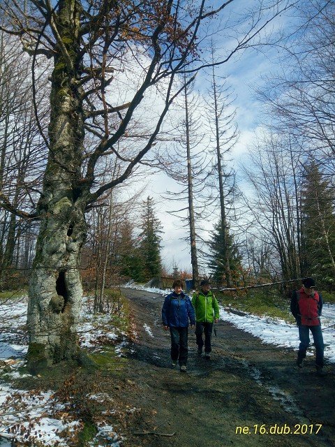 img00006.jpg