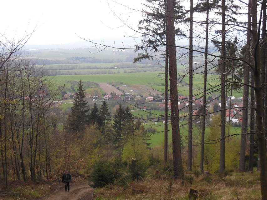img00005.jpg