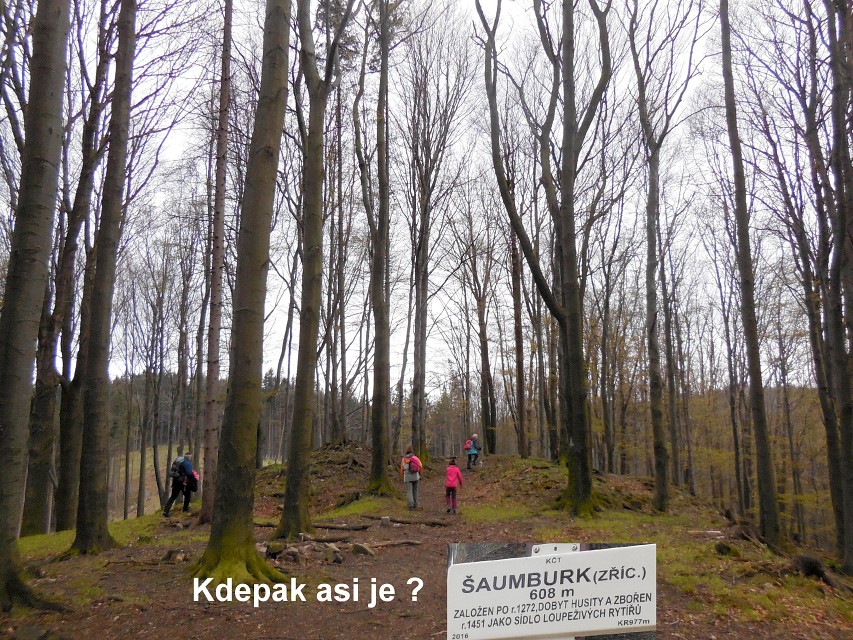 img00008.jpg