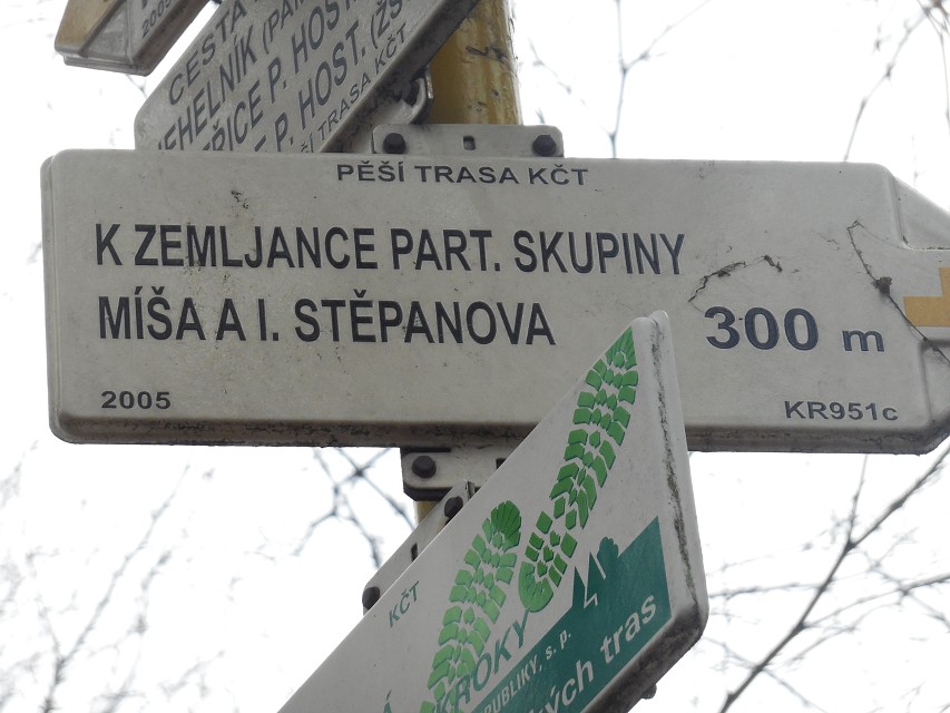 img00031.jpg
