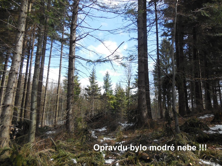 img00034.jpg