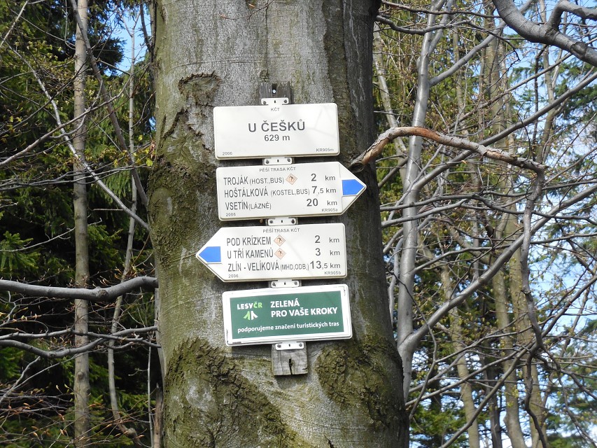 img00044.jpg