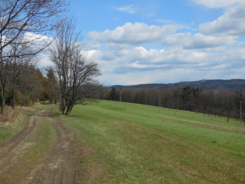 img00046.jpg