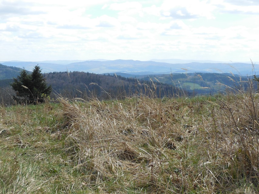 img00047.jpg