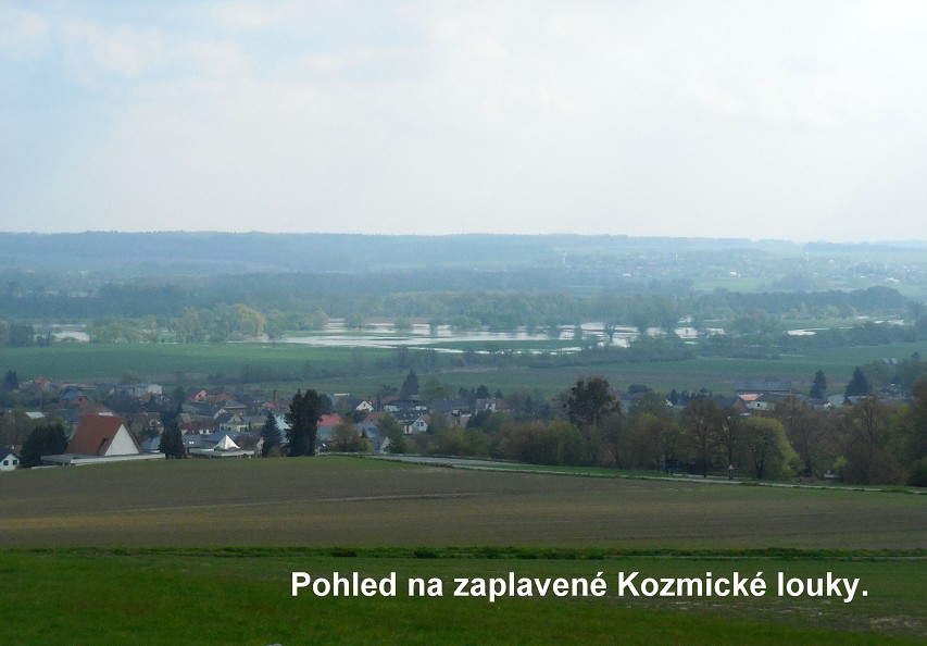 img00011.jpg