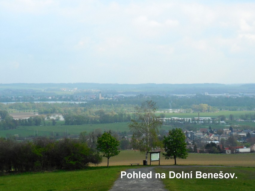 img00012.jpg