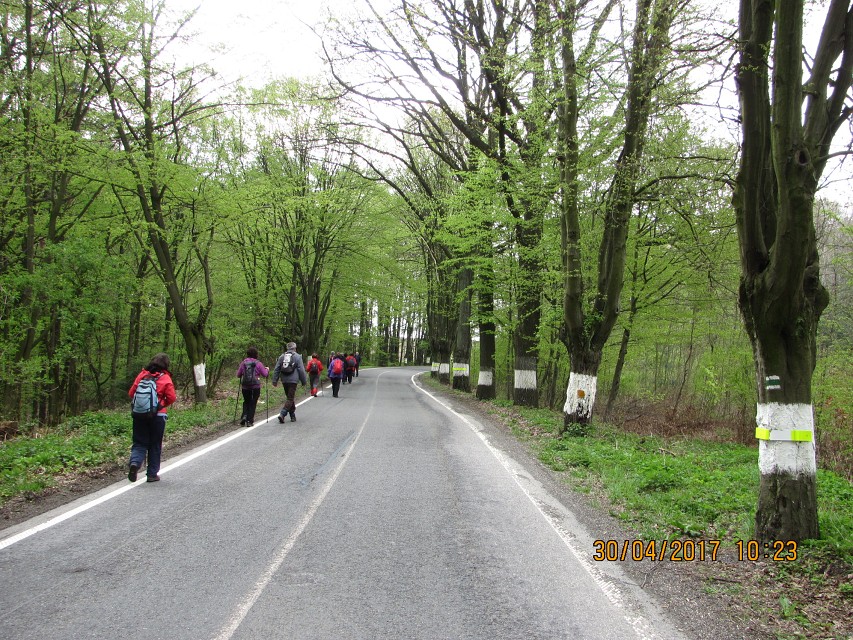 img00015.jpg