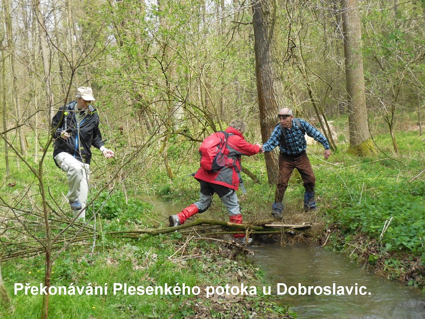 img00021.jpg