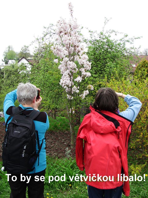 img00027.jpg