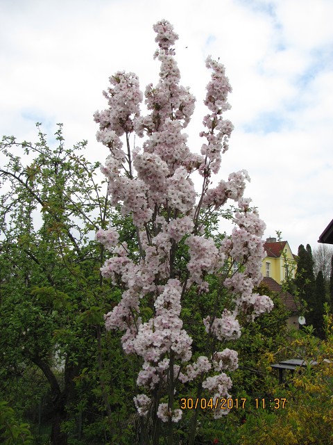 img00028.jpg