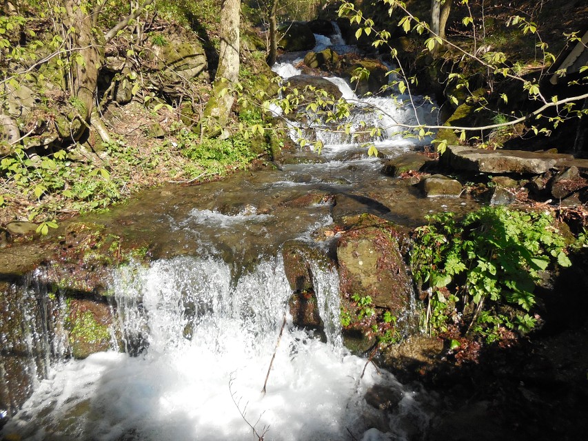 img00002.jpg
