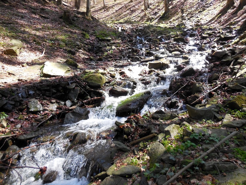 img00008.jpg