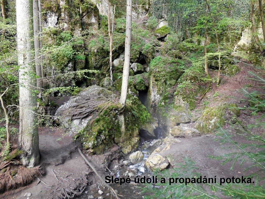img00007.jpg
