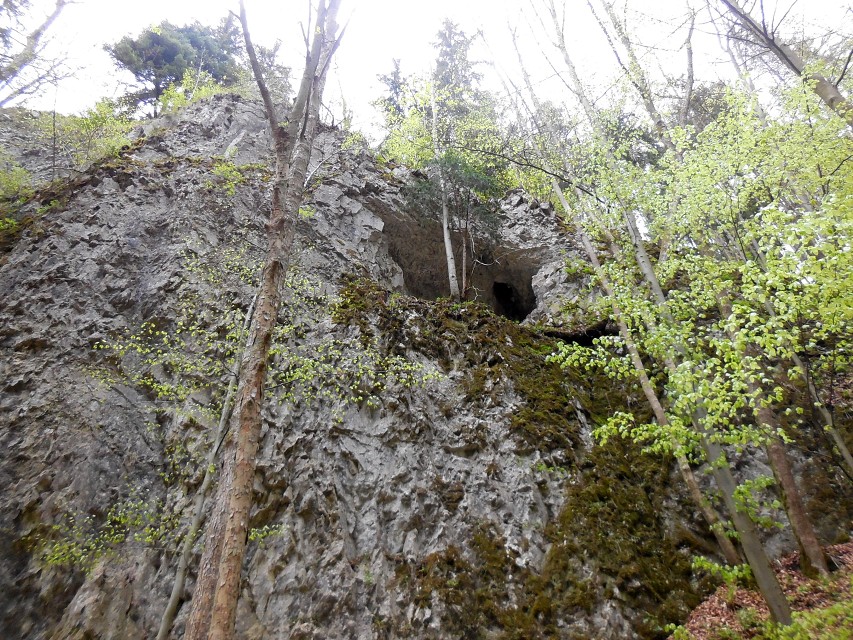img00038.jpg