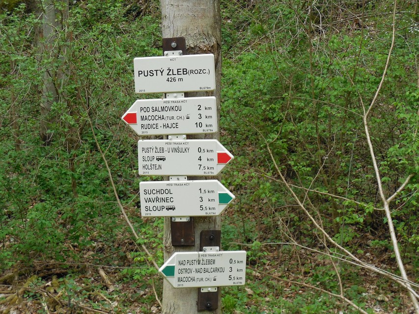 img00041.jpg