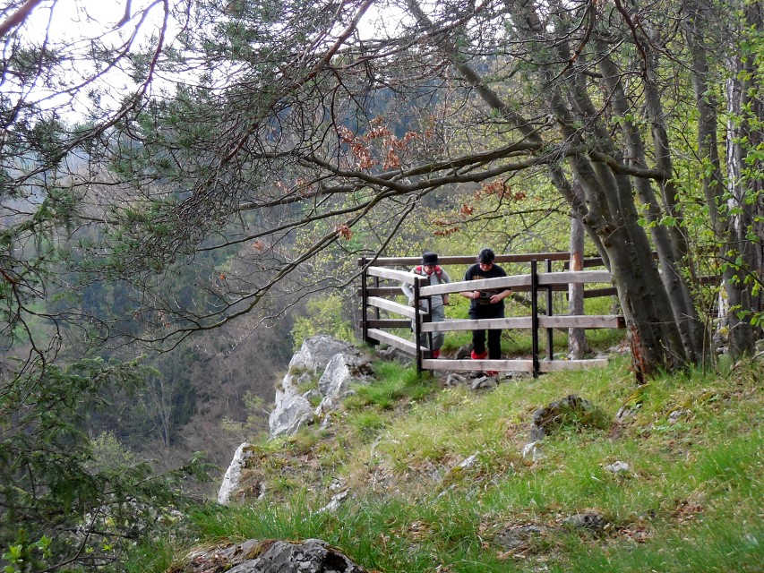 img00047.jpg