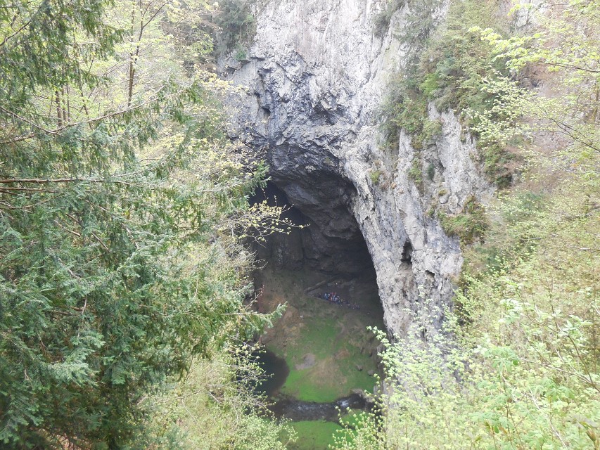 img00049.jpg