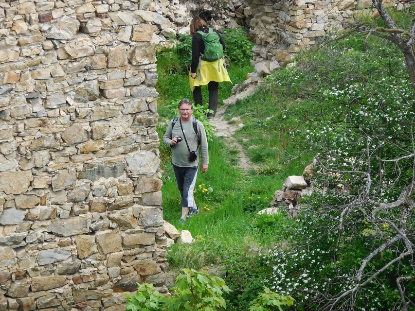 img00061.jpg