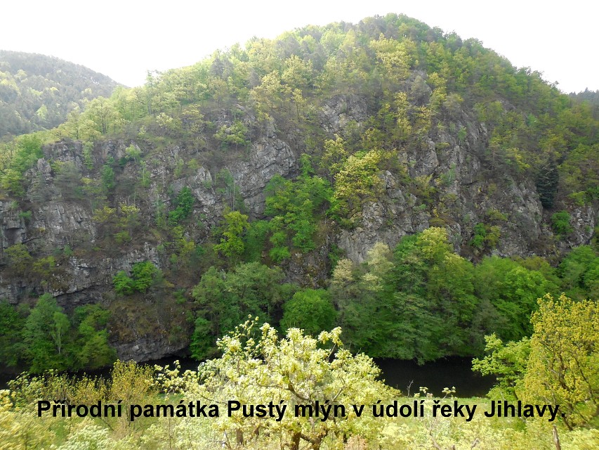 img00069.jpg