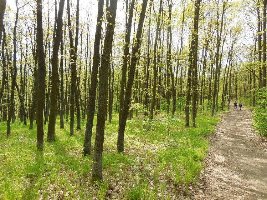 img00070.jpg