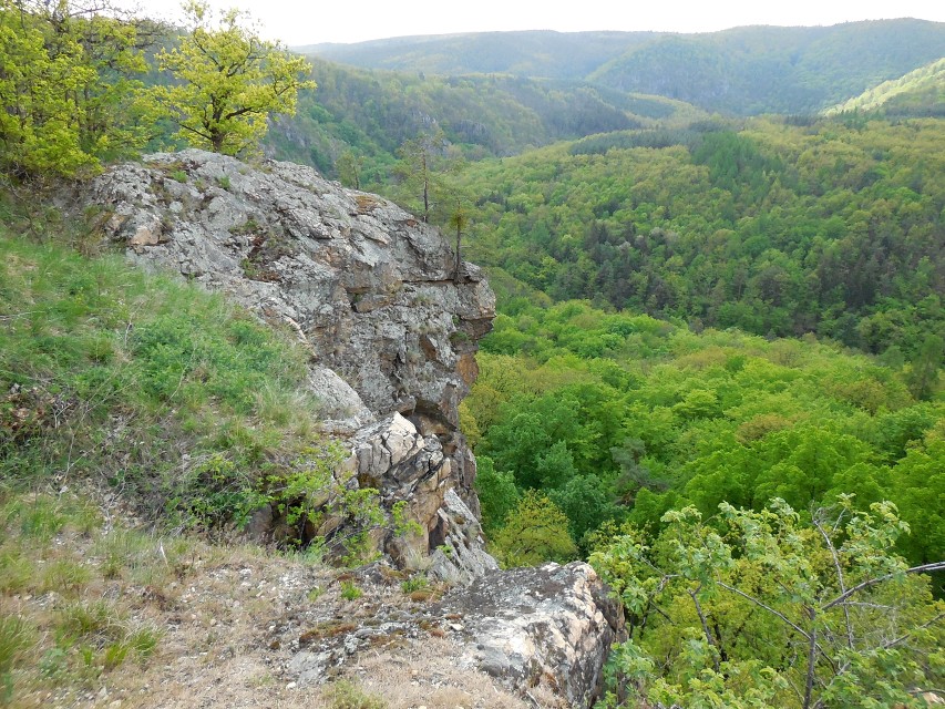 img00077.jpg