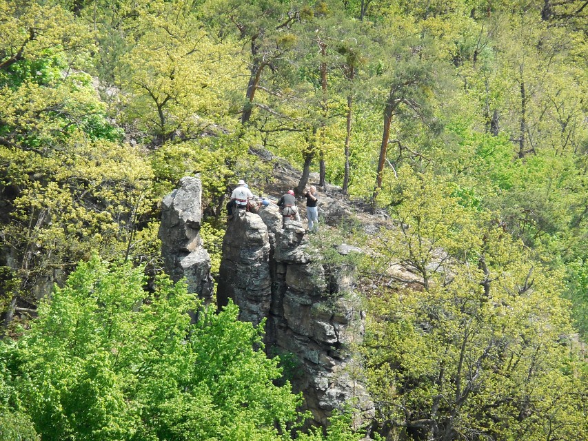 img00081.jpg