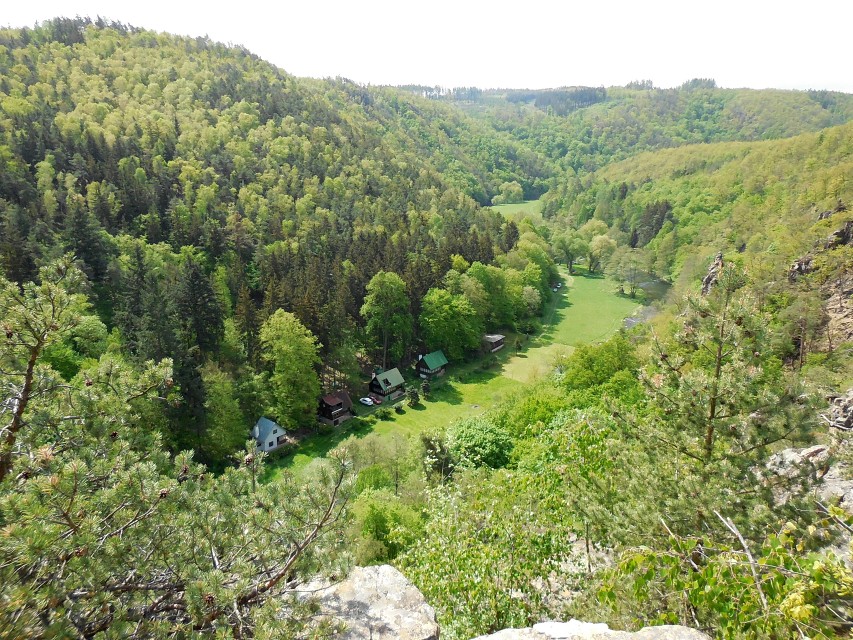 img00083.jpg