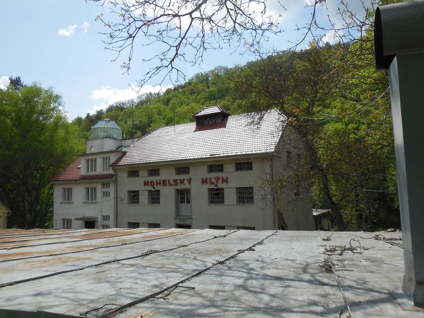 img00089.jpg