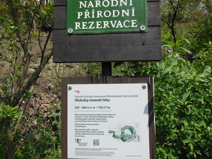 img00090.jpg