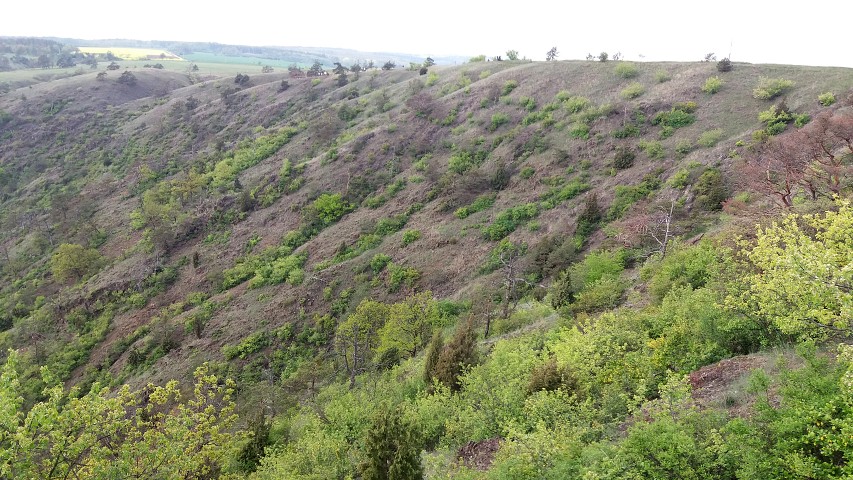 img00099.jpg