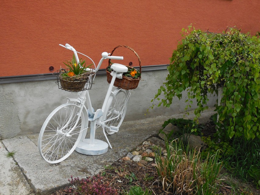 img00105.jpg