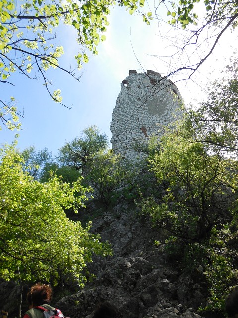 img00128.jpg