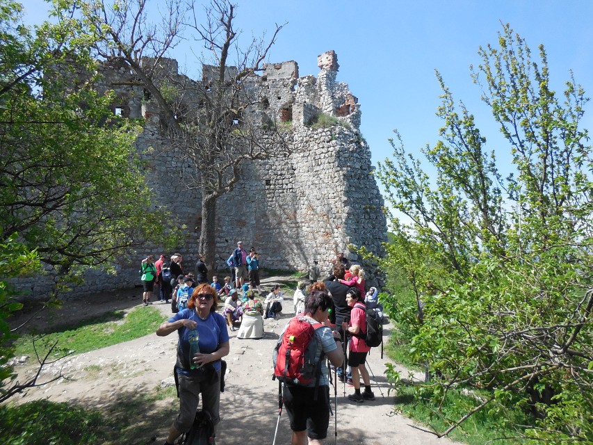 img00132.jpg