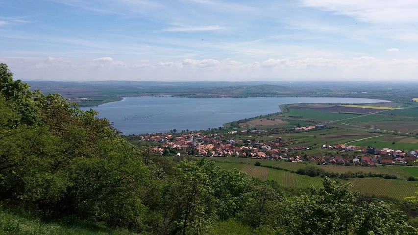 img00134.jpg