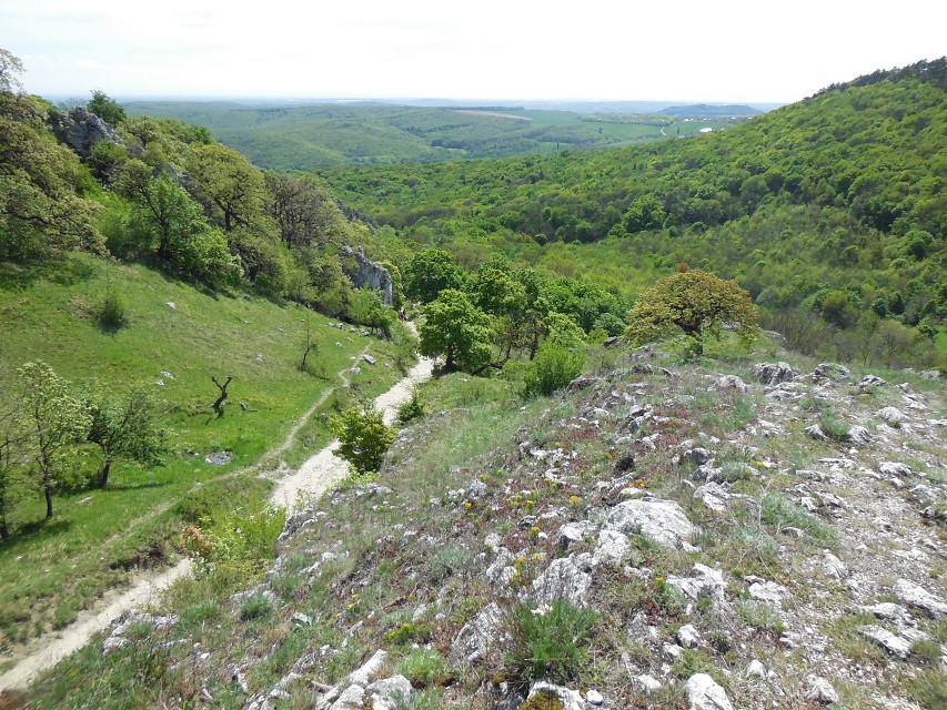 img00147.jpg