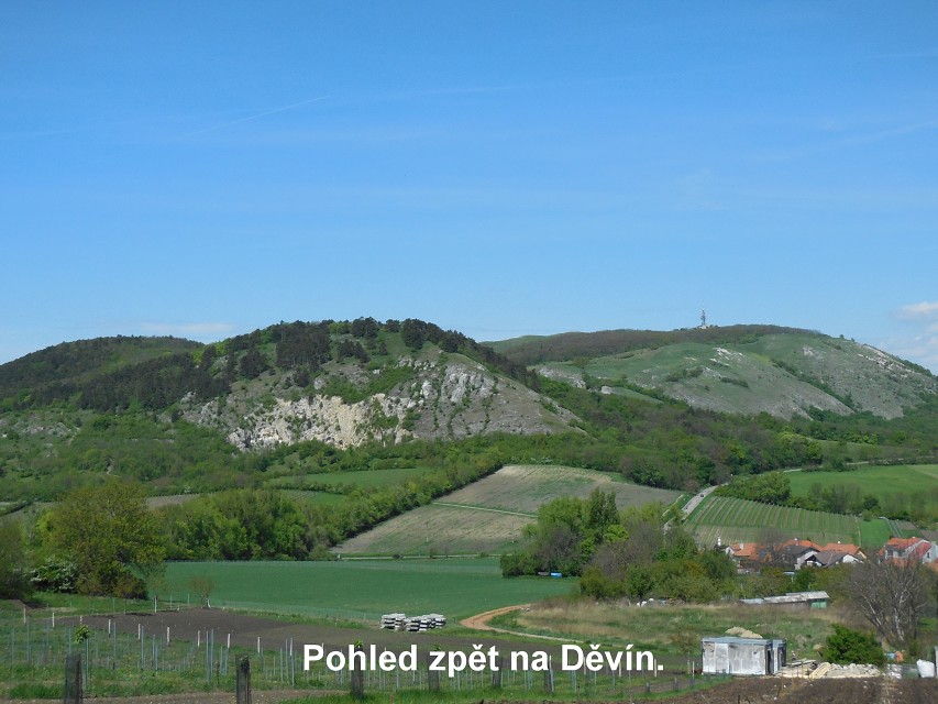 img00151.jpg