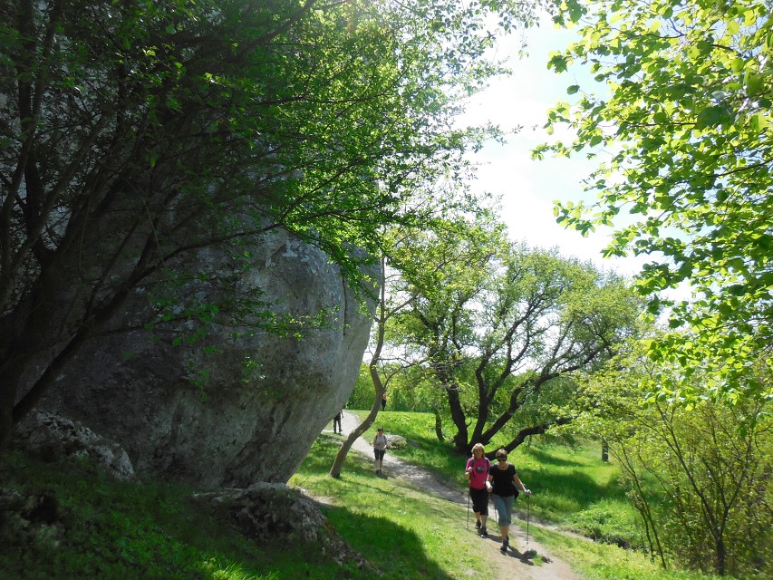 img00153.jpg