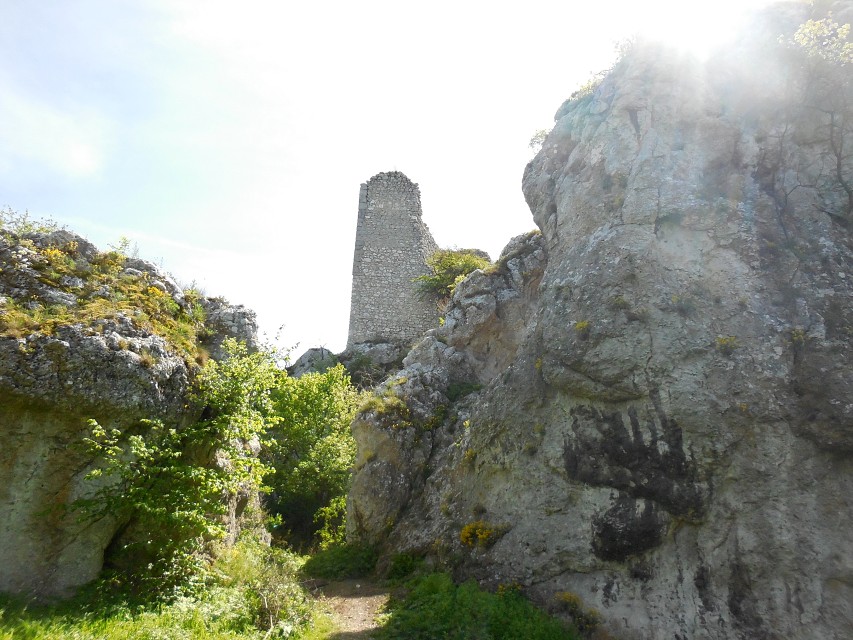 img00154.jpg