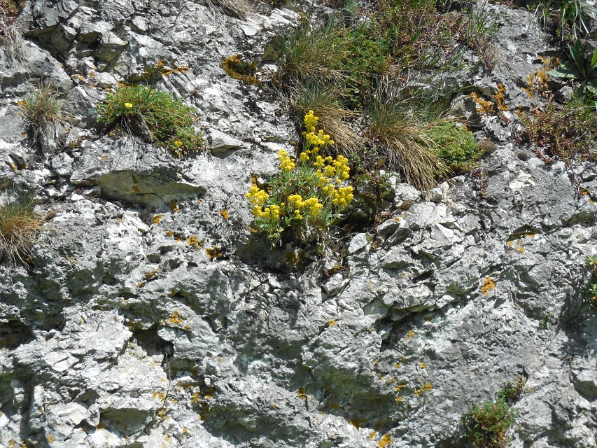 img00155.jpg