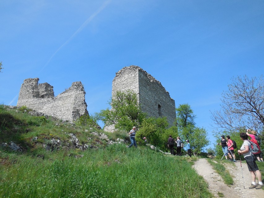 img00157.jpg